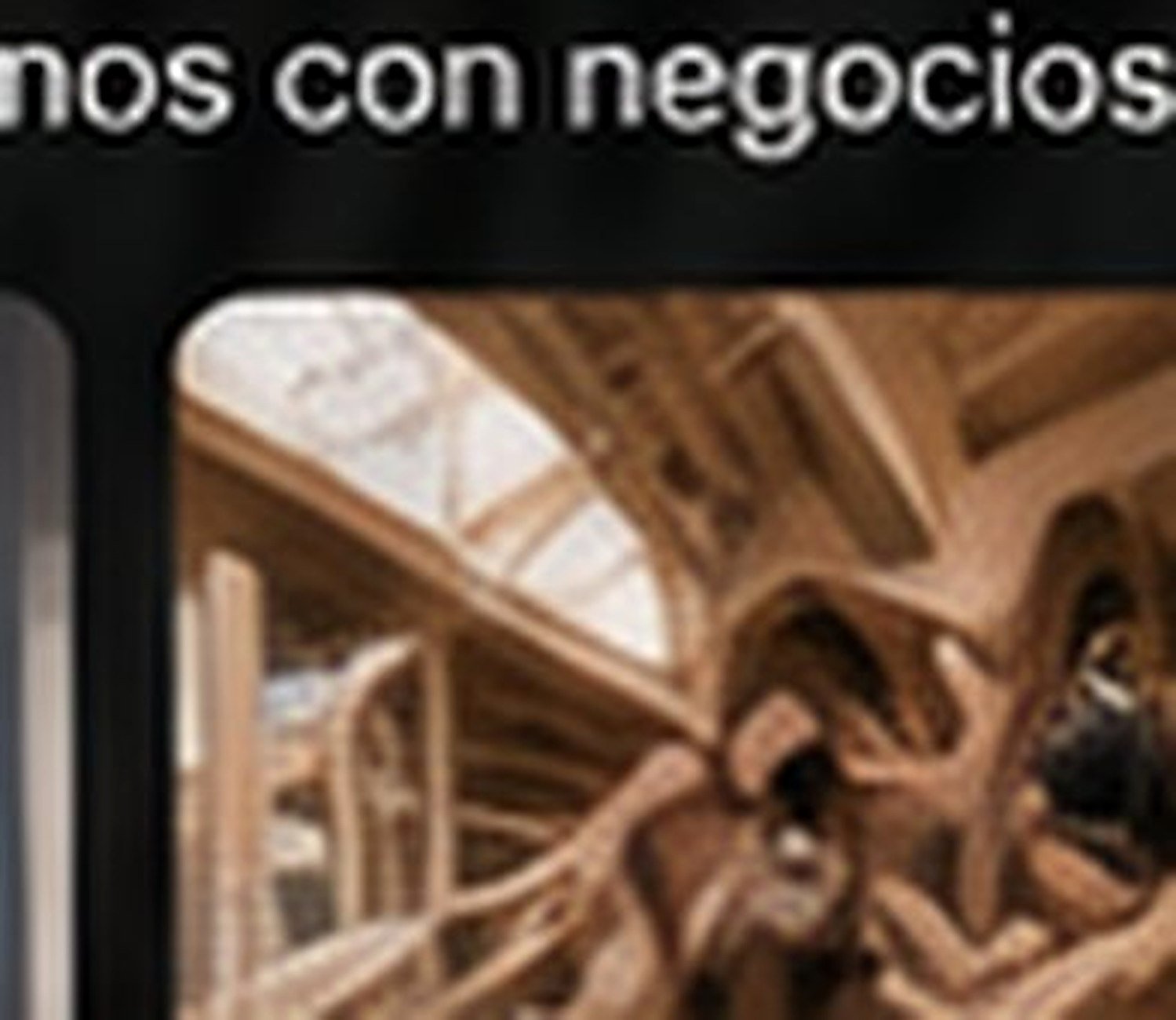 Profesionales de framing y carpintería